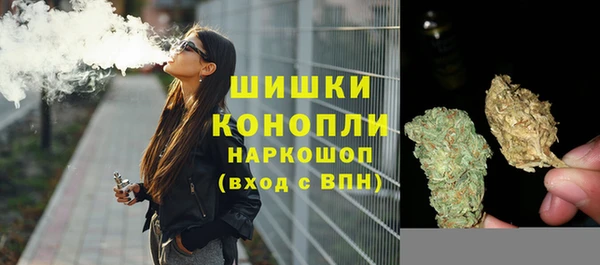 крисы Балахна