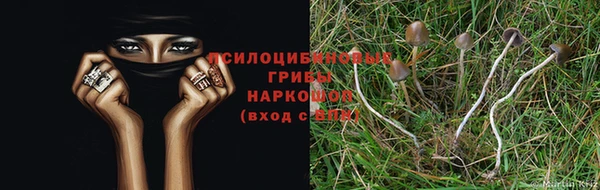 бутират Белокуриха