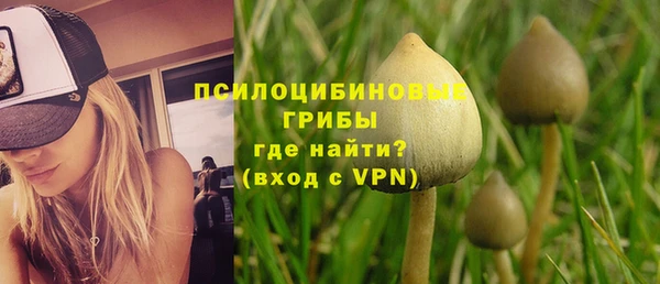 крисы Балахна